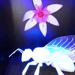 Magyar Természettudományi Múzeum Budapest - Egyéb