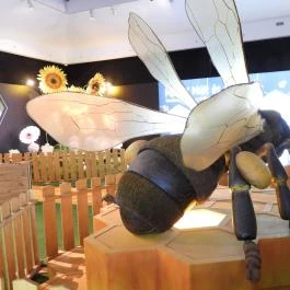 Magyar Természettudományi Múzeum Budapest - Egyéb