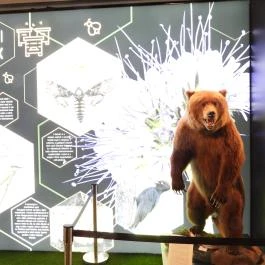 Magyar Természettudományi Múzeum Budapest - Egyéb