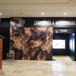 Magyar Természettudományi Múzeum Budapest - Egyéb