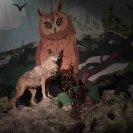 Magyar Természettudományi Múzeum Budapest - Egyéb