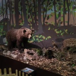 Magyar Természettudományi Múzeum Budapest - Egyéb