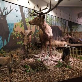 Magyar Természettudományi Múzeum Budapest - Egyéb