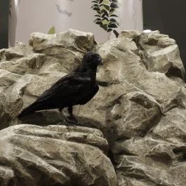 Magyar Természettudományi Múzeum Budapest - Egyéb