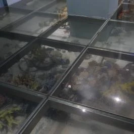 Magyar Természettudományi Múzeum Budapest - Egyéb