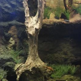 Magyar Természettudományi Múzeum Budapest - Egyéb