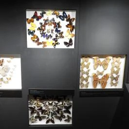 Magyar Természettudományi Múzeum Budapest - Egyéb