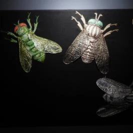 Magyar Természettudományi Múzeum Budapest - Egyéb