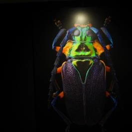 Magyar Természettudományi Múzeum Budapest - Egyéb