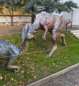 Magyar Természettudományi Múzeum