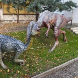 Magyar Természettudományi Múzeum Budapest - Egyéb
