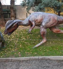 Magyar Természettudományi Múzeum