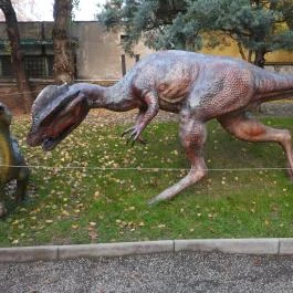 Magyar Természettudományi Múzeum Budapest - Egyéb