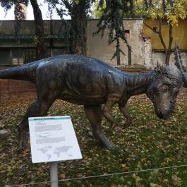 Magyar Természettudományi Múzeum Budapest - Egyéb