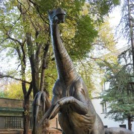 Magyar Természettudományi Múzeum Budapest - Egyéb