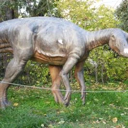 Magyar Természettudományi Múzeum Budapest - Egyéb