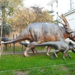 Magyar Természettudományi Múzeum Budapest - Egyéb