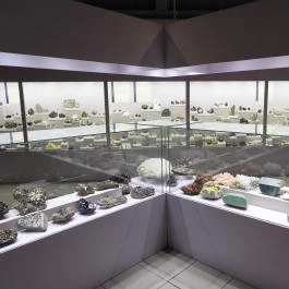 Magyar Természettudományi Múzeum Budapest - Egyéb