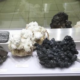 Magyar Természettudományi Múzeum Budapest - Egyéb