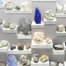 Magyar Természettudományi Múzeum Budapest - Egyéb