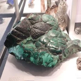 Magyar Természettudományi Múzeum Budapest - Egyéb