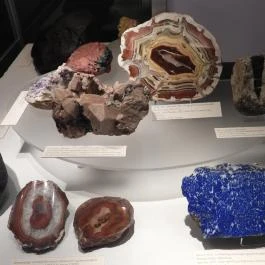 Magyar Természettudományi Múzeum Budapest - Egyéb