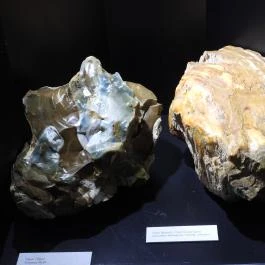 Magyar Természettudományi Múzeum Budapest - Egyéb