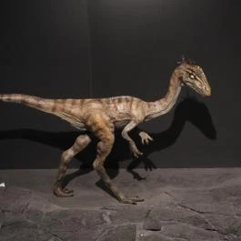 Magyar Természettudományi Múzeum Budapest - Egyéb