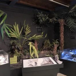 Magyar Természettudományi Múzeum Budapest - Egyéb