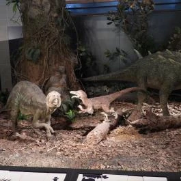 Magyar Természettudományi Múzeum Budapest - Egyéb