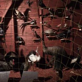 Magyar Természettudományi Múzeum Budapest - Egyéb