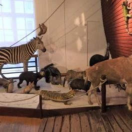 Magyar Természettudományi Múzeum Budapest - Egyéb