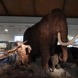 Magyar Természettudományi Múzeum Budapest - Egyéb