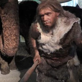 Magyar Természettudományi Múzeum Budapest - Egyéb