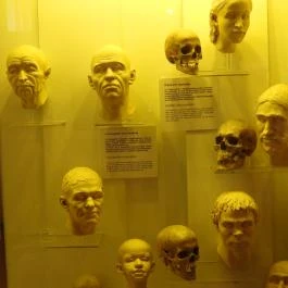 Magyar Természettudományi Múzeum Budapest - Egyéb