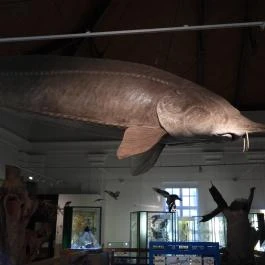 Magyar Természettudományi Múzeum Budapest - Egyéb