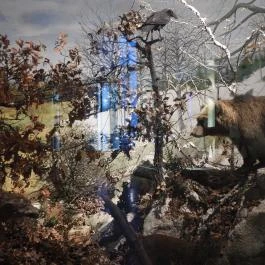 Magyar Természettudományi Múzeum Budapest - Egyéb