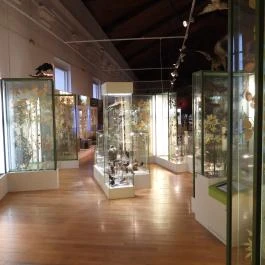 Magyar Természettudományi Múzeum Budapest - Belső