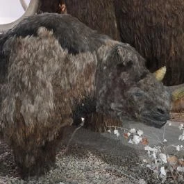 Magyar Természettudományi Múzeum Budapest - Egyéb