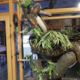 Magyar Természettudományi Múzeum Budapest - Egyéb