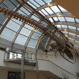 Magyar Természettudományi Múzeum Budapest - Belső