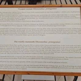 Magyar Természettudományi Múzeum Mátra Múzeuma, Gyöngyös - Egyéb