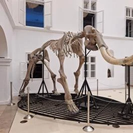 Magyar Természettudományi Múzeum Mátra Múzeuma, Gyöngyös - Egyéb