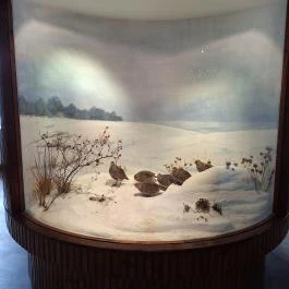 Magyar Természettudományi Múzeum Mátra Múzeuma, Gyöngyös - Egyéb