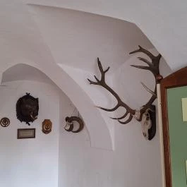 Magyar Természettudományi Múzeum Mátra Múzeuma, Gyöngyös - Belső