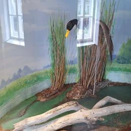 Magyar Természettudományi Múzeum Mátra Múzeuma, Gyöngyös - Egyéb