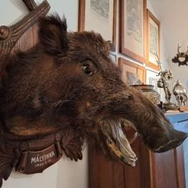 Magyar Természettudományi Múzeum Mátra Múzeuma, Gyöngyös - Egyéb