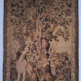 Magyar Természettudományi Múzeum Mátra Múzeuma, Gyöngyös - Egyéb