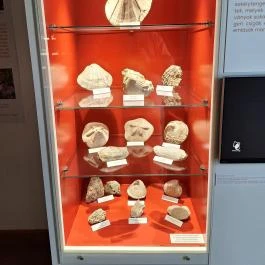 Magyar Természettudományi Múzeum Mátra Múzeuma, Gyöngyös - Egyéb