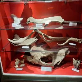 Magyar Természettudományi Múzeum Mátra Múzeuma, Gyöngyös - Egyéb